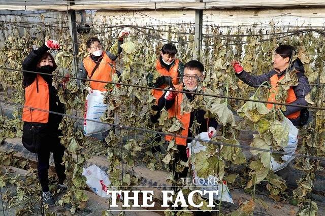 한화그룹은 지난해 12월 정기인사에서 승진한 94명의 신임 임원들이 충남 청양군 아산리 마을에서 봉사활동을 진행했다고 16일 밝혔다. /한화그룹 제공