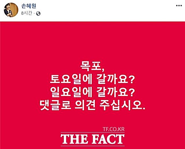 손혜원 민주당 의원이 18일 페이스북에 주말 목포행을 예고하는 글을 남겼다. 하지만 실제 목포행은 이뤄지지 않을 전망이다. /손 의원 페이스북 갈무리