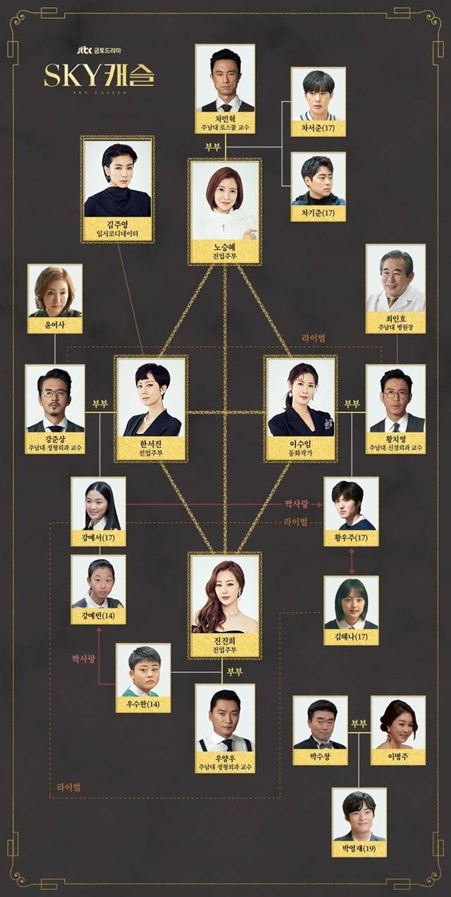 JTBC 금토드라마 SKY캐슬의 인물관계도. /JTBC 제공