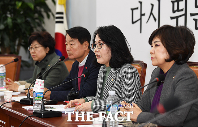 발언하는 김현아 의원(왼쪽 세번째)