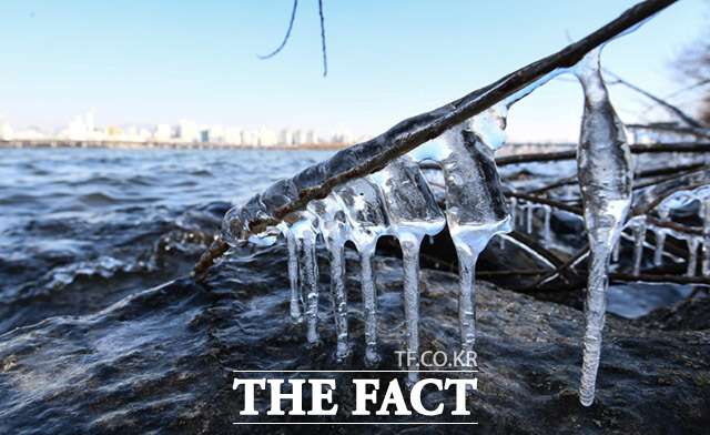 전국 곳곳에 한파특보가 발효된 26일 오후 서울 영등포구 여의도 둔치 나뭇가지에 추운 날씨로 인해 얼음이 얼어있다. /임세준 기자