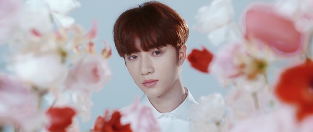 퀘스처닝 영상 속 TXT 멤버 범규가 꽃에 둘러싸여 비주얼을 발산한다./빅히트 엔터테인먼트 제공