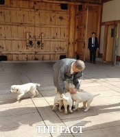  文대통령, 참모들과 北 전통음식 '평양식 온반' 오찬 눈길