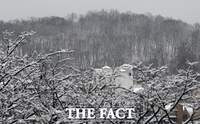 15일 서울을 포함한 중부 지역에 눈 소식이 있겠다. 1cm 정도로 양이 많지는 않겠다. /더팩트 DB