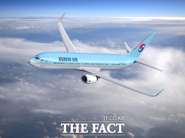 한국투자증권은 20일 대한항공의 2023 비전 발표가 주주가치 제고를 위한 긍정적인 행보라며 투자의견 매수를 유지했다. /더팩트 DB