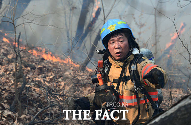 13일 오후 경기도 고양시 덕은동 야산에 산불이 발생해 소방관들이 진화작업을 펼치고 있다. /고양=이동률 기자