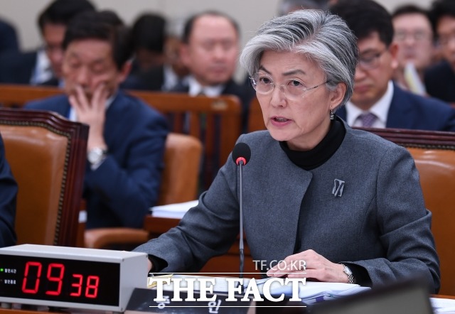 외교부가 13일 2019년 외교부 주요업무 추진계획을 발표했다. 강경화 외교부 장관이 종합국정감사에 출석해 의원들의 질의에 대답하고 있는 모습. /이새롬 기자