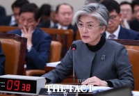  외교부 업무보고서 '北 비핵화 진전·평화정착 구축하겠다'