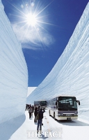  에어부산, 부산~도야마 노선 부정기편 운항