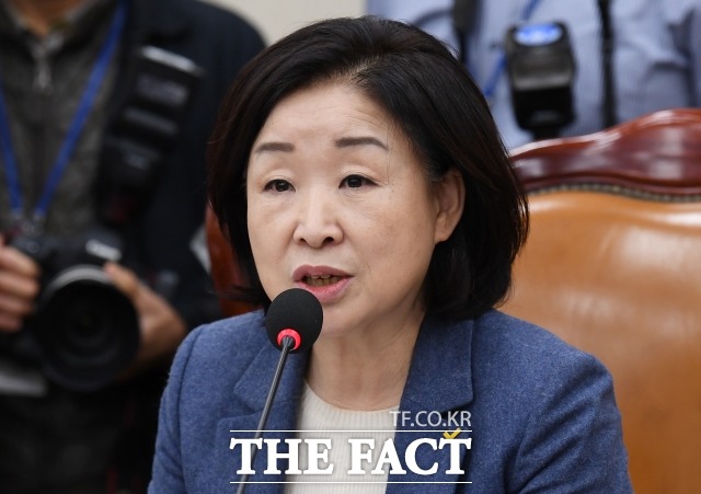 국회 정치개혁특별위원회 위원장 심상정 정의당 의원은 선거제 개혁 관련 발언을 문제 삼은 나경원 자유한국당 원내대표를 향해 말꼬리나 잡는 좁쌀 정치를 하나라고 비판했다. /이새롬 기자