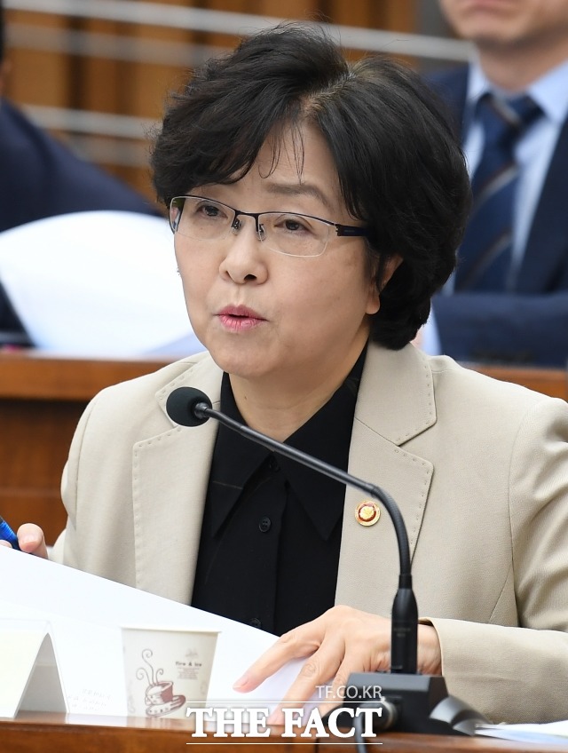 25일 환경부 블랙리스트와 관련해 김은경 전 환경부 장관의 구속 여부를 결정하는 영장실질심사가 진행된다. /이새롬 기자