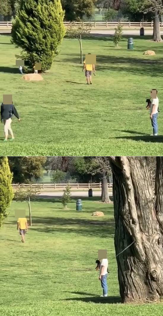 SNS에 올라온 문제의 영상. 스티븐연과 그의 아내로 추정되는 인물의 모습이 담겼다. / 인스타그램