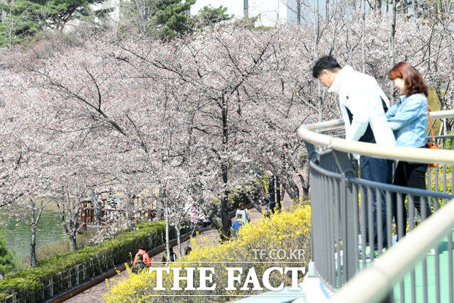 4일 오전에는 평년보다 기온이 2~5도 낮겠지만, 낮부터 평년 수준으로 기온이 오르며 포근한 봄 날씨를 보이겠다. 서울 낮 최고기온은 16도까지 오르겠다. /남윤호 기자