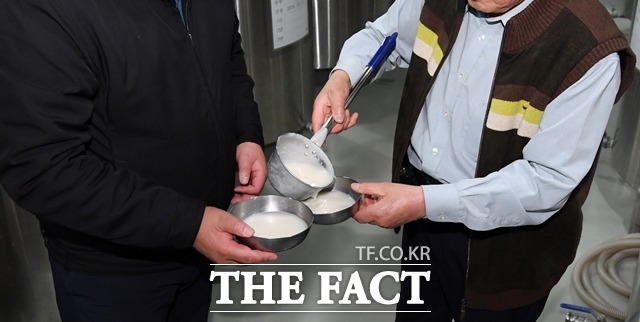 정부가 주세법 개정안 발표를 앞두고 있는 가운데 전통주업계에서 주세법에 대한 불만의 목소리가 나오고 있다. 사진은 경북 울진의 한 양조장에서 두 사람이 막걸리를 뜨는 모습이다. 사진은 기사 내용과 무관. /더팩트DB