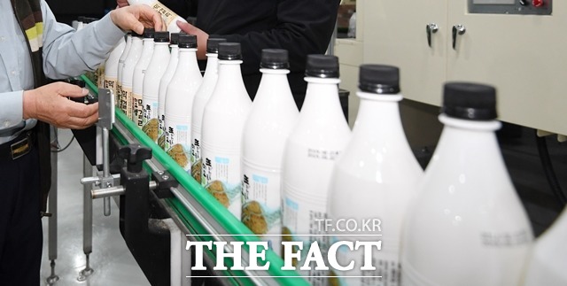 막걸리협회는 개정안을 통해 막걸리에 대한 규제 범위를 완화해달라고 호소하고 있다. 사진은 경북 울진의 한 양조장에서 막걸리가 생산되고 있다. 사진은 기사 내용과 무관. / 더팩트 DB