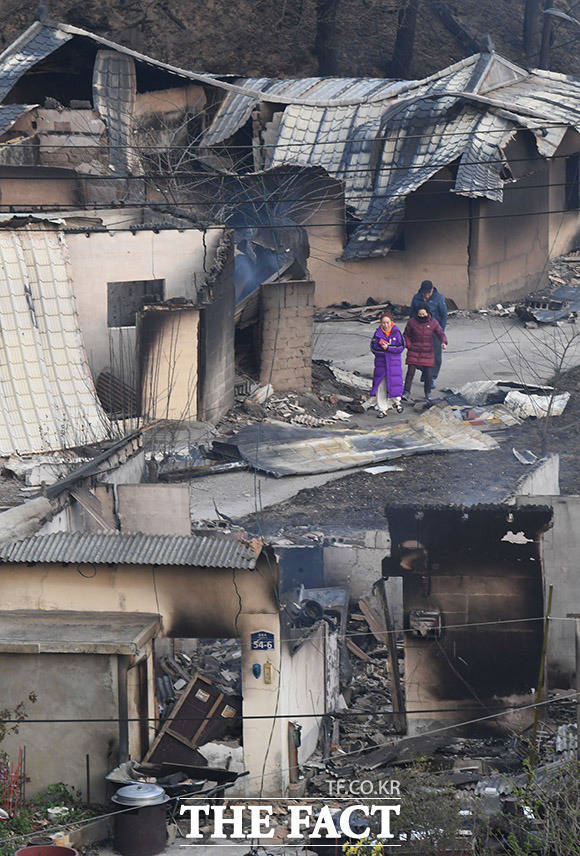 산불이 잠시 소강상태를 보이자 고성군 토성면 용천리 주민들이 집을 확인하러 이동하고 있다.