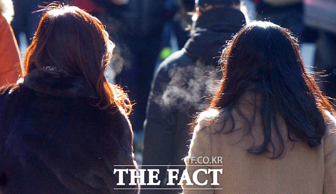 기상청은 오늘(11일) 중부 내륙에는 찬바람에 아침 기온이 영하권으로 내려가는 등 큰 폭으로 떨어지면서 쌀쌀한 날씨가 되겠다고 밝혔다./더팩트 DB