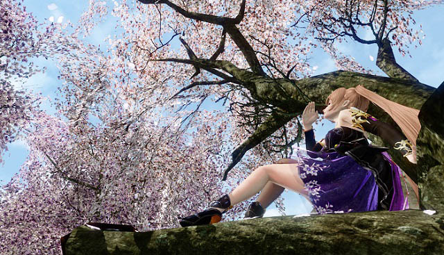엑스엘게임즈 아키에이지에서 봄 축제가 열리고 있다. 한 캐릭터가 벚꽃을 보고 있는 모습. /엑스엘게임즈 제공