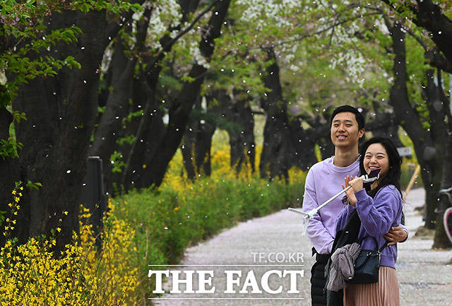 18일 오후 서울 영등포구 윤중로 벚꽃길 일대에서 시민들이 흩날리는 벚꽃잎을 보며 즐거워하고 있다. /이동률 기자