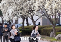  [오늘의 날씨] 낮과 밤 기온차 크고 강풍 예상