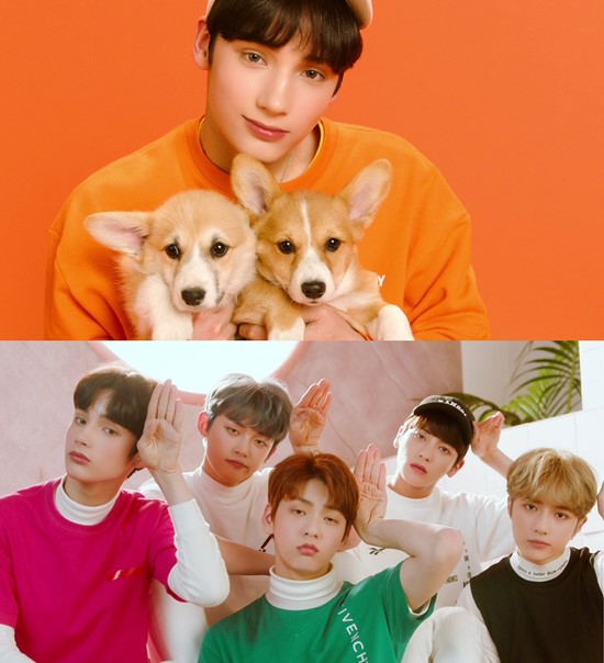 투모로우바이투게더(수빈, 연준, 범규, 태현, 휴닝카이)가 후속곡 Cat & Dog 활동을 시작할 예정이다. /빅히트 엔터테인먼트 제공