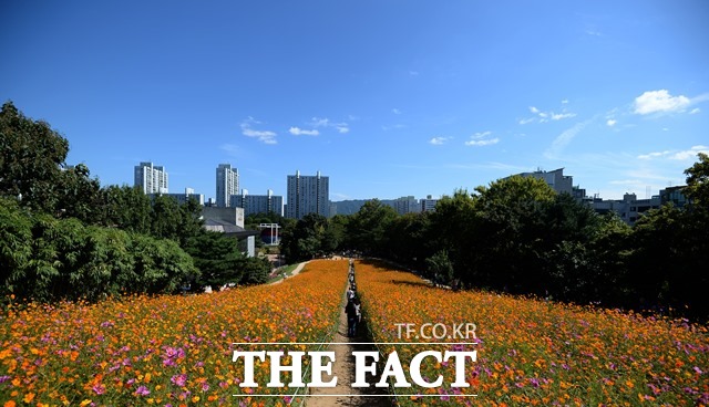 금요일인 10일은 전국이 맑다가 가끔 구름이 많겠으며 새벽부터 아침 사이 서해안과 일부 내륙에는 안개가 끼겠다.