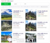  '외교부 여행경보' 나몰라라...'경보발령 국가' 패키지 상품 수두룩