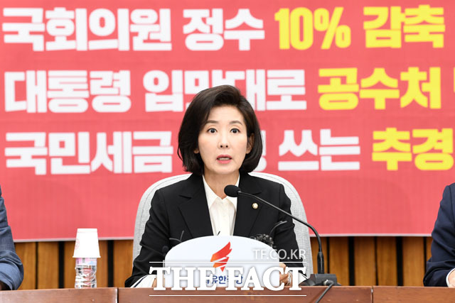 나경원 한국당 원내대표는 대국민 호소문을 내고 추경에 앞서 경제 청문회를 해야 한다는 입장을 밝혔다. /남윤호 기자