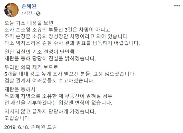 손혜원 무소속 의원이 18일 페이스북을 통해 목포 투기 의혹으로 불구속 기소된 것에 대한 입장을 밝혔다. /손 의원 페이스북 갈무리