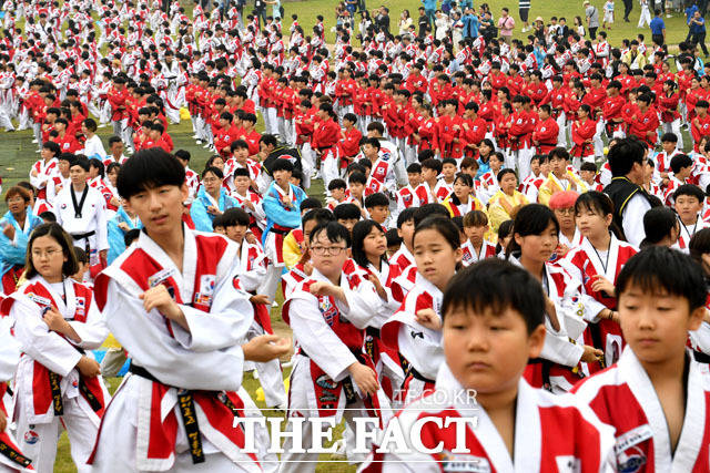 29일 오전 경기도 파주시 임진각 평화누리공원에서 열린 2019 DMZ 평화대축제에 참석한 태어로즈 영웅단이 태권도 시범을 펼치고 있다./파주=남윤호 기자