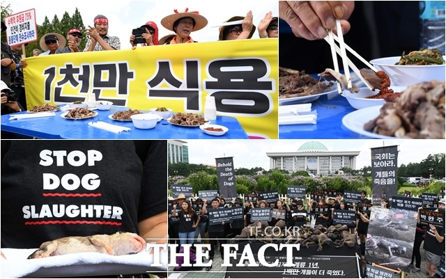 초복인 12일 오후 서울 여의도 국회 정문 앞에서 식용개 사육 농민들(위)과 개 도살 금지를 촉구하는 동물권 운동가들의 찬반 집회가 함께 열리고 있다. /남용희 기자