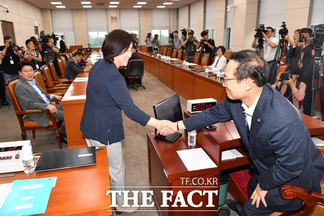 심상정 전임 위원장(왼쪽)과 악수 나누는 홍영표