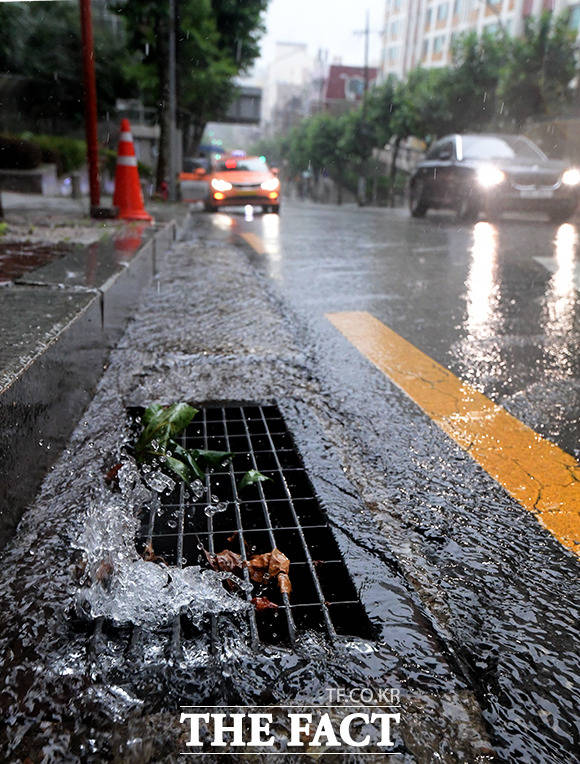 많은 비에 열일하는 도로 배수구