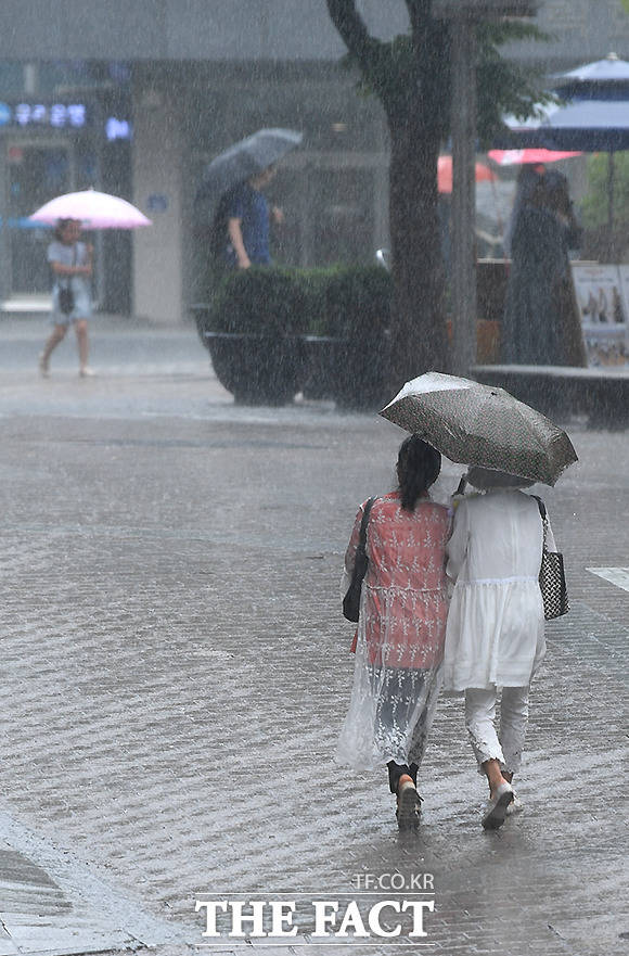 29일 서울과 경기도, 강원 영서 일부 지역 에 이날 새벽까지 시간당 30㎜ 이상의 강한 비가 내리겠다./이새롬 기자