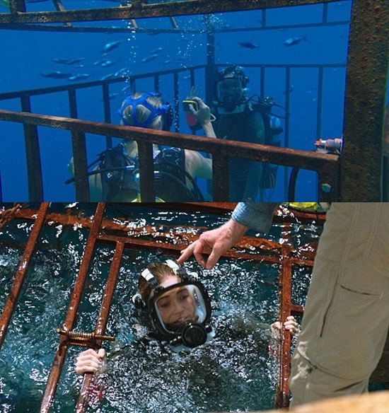 47미터는 사고로 순식간에 심해 47미터에 추락한 후 상어로부터 둘러싸인 두 여자의 이야기를 다뤘다. /47미터 스틸