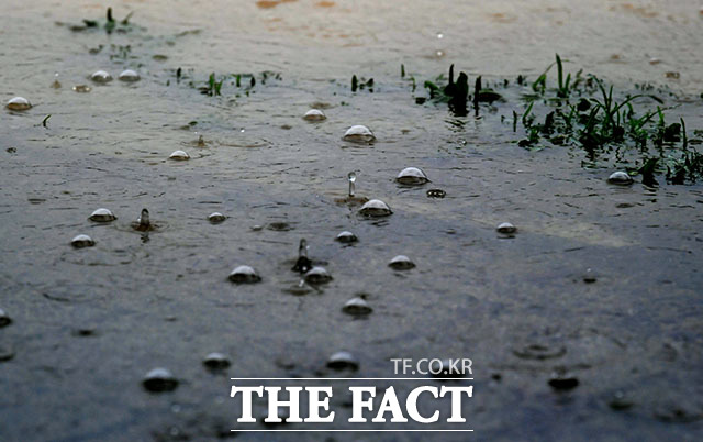 8월의 첫날인 1일 전국이 흐리고 비가 내리겠다. /이덕인 기자