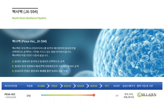 신라젠은 미국 데이터모니터링위원회로부터 간암 환자를 대상으로 진행하던 항암바이러스물질 펙사벡 글로벌 임상3상에 대해 중단 권고 통보를 받았다. /신라젠 홈페이지 갈무리