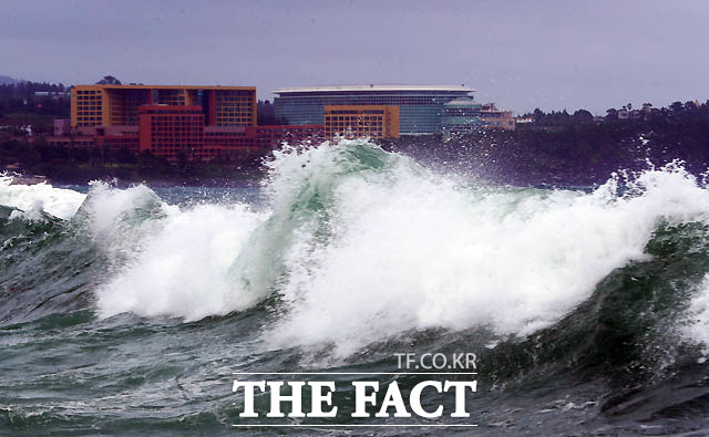 7일 태풍 프란시스코 영향으로 전국이 흐리고 비가 오다가 점차 그치겠다. 미세먼지 농도는 전 권역이 좋음으로 예상된다. /더팩트 DB