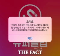  치킨 주문 대란...'배달의민족∙요기요 접속 장애'