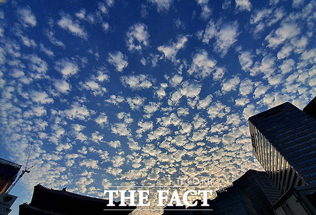 화창한 날씨를 보인 22일 오후 서울 중구 숭례문 인근에서 바라본 서울 하늘이 양떼 모양의 구름으로 뒤덮혀 있다. /이효균 기자
