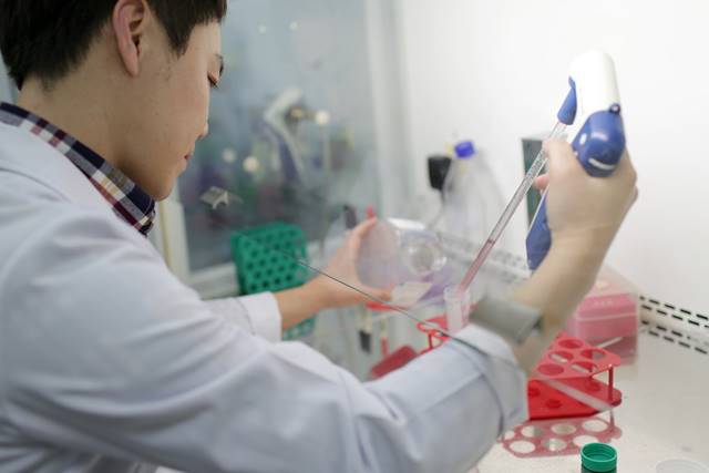 바이오 업계 관계자는 현재 OCI가 바이오산업으로 추구하는 바가 분명해 보이지 않는다며 바이오 산업은 단기간에 성과가 나기 어려운 것으로 장기간 투자와 인내심이 필요하다고 지적했다. 사진은 췌장암 항암 후보물질을 연구하고 있는 모습. /OCI 제공