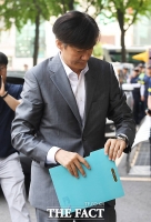  조국 청문회, '국민 청문회' 제안한 민주당