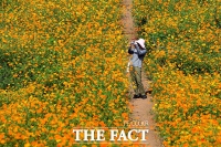  [오늘의 날씨] 전국 완연한 가을 날씨…일교차 주의