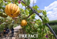  [오늘의 날씨] 대체로 맑고 쌀쌀…큰 일교차 주의