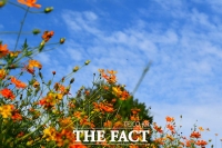  [오늘의 날씨] 맑은 가을날…큰 일교차 주의하세요