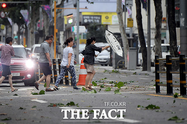 화요일인 1일은 제18호 태풍 미탁의 영향으로 남부지방에 비가 내릴 전망이다. 올 들어서만 우리나라에 영향을 주는 7번째 태풍으로 이날부터 전국이 간접 영향권에 들 것으로 보여진다. /이효균 기자