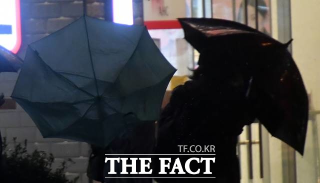 제18호 태풍 미탁이 북상한 2일 오후 부산 해운대구의 한 횡단보도에서 시민들이 비바람에 맞서 힘겹게 걸어가고 있다. /뉴시스