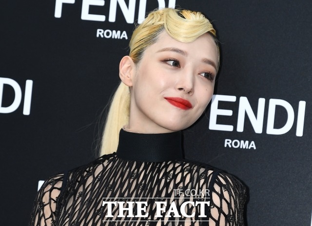 가수 겸 배우 설리의 사망 신고가 경찰에 접수됐다. /이동률 기자