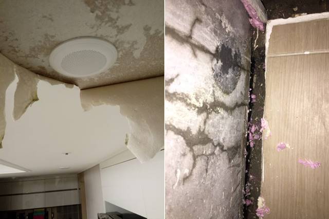 두산건설이 시공한 부산 해운대구의 고층 아파트는 올해 1월 말부터 입주했다. 입주민들은 태풍 링링과 타파가 지나간 이후 누수와 곰팡이 문제가 심각해졌다며 고통을 호소했다. /하태경 의원 SNS