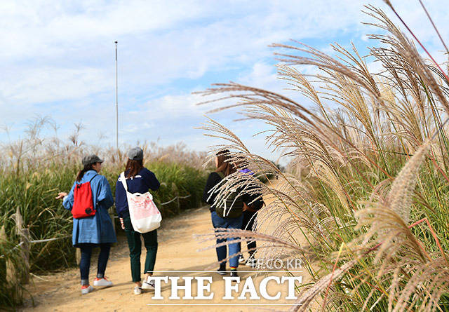 5일은 전국이 대체로 맑겠지만 일교차가 크게 벌어져 쌀쌀하겠다. /더팩트 DB